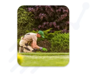 Illustration / réalisation : Ezeecam for Landscapers