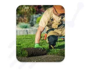 Illustration / réalisation : Ezeecam’s solutions for landscaping a natural lawn