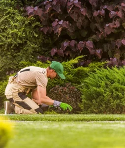 Illustration / réalisation : Ezeecam pour les paysagistes