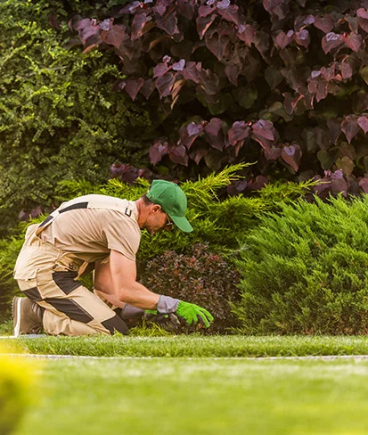 Application et logiciel Ezeecam pour les paysagistes