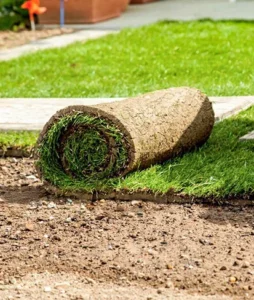 Illustration / réalisation : Les solutions Ezeecam pour aménager une pelouse naturelle